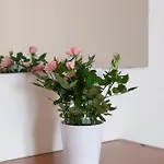 Terrazza Baciata Dal Sole アパート