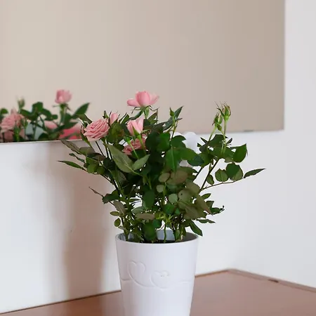 Terrazza Baciata Dal Sole Appartement