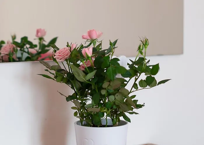 Terrazza Baciata Dal Sole Apartment